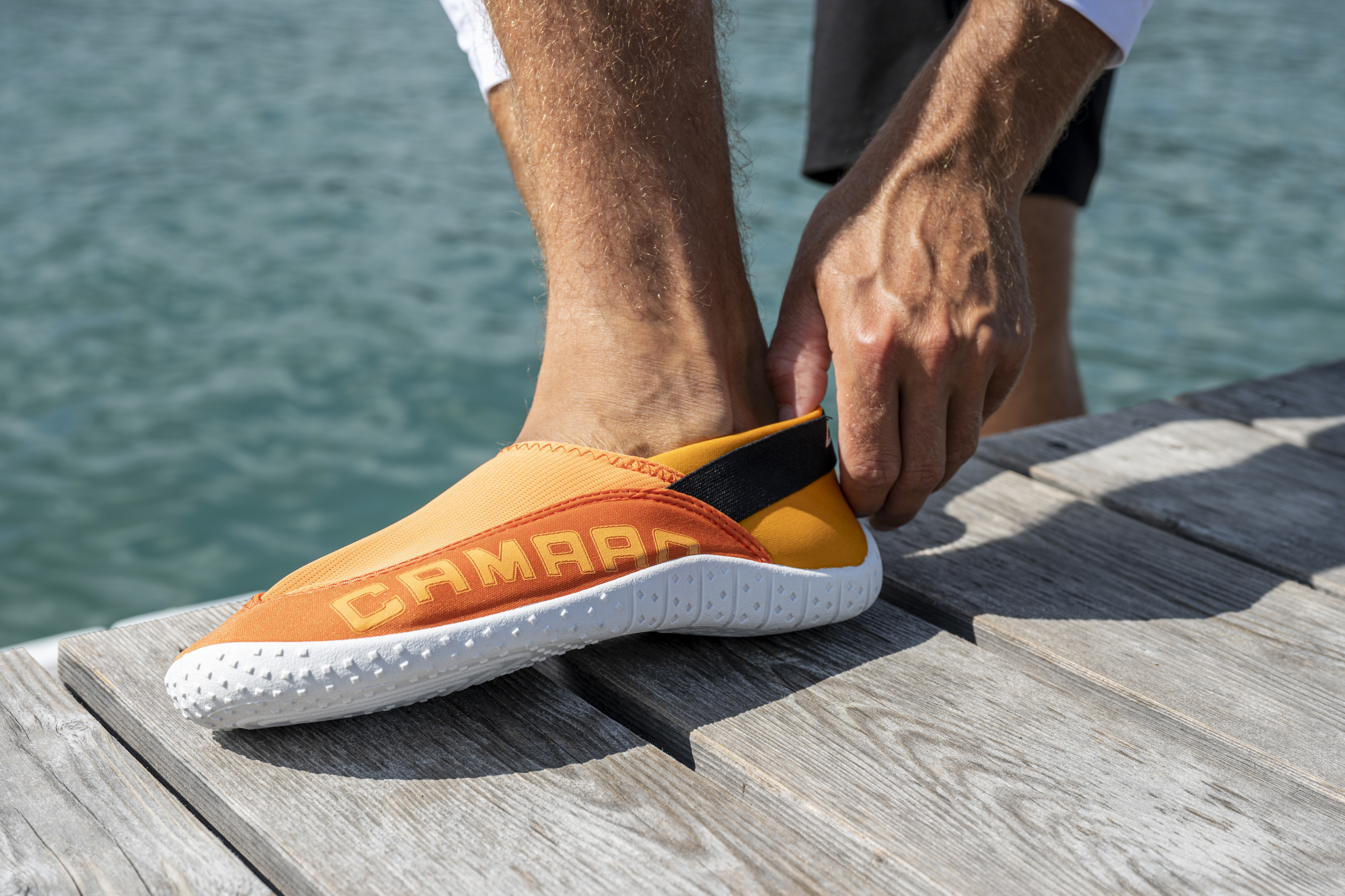 South Sea slipper